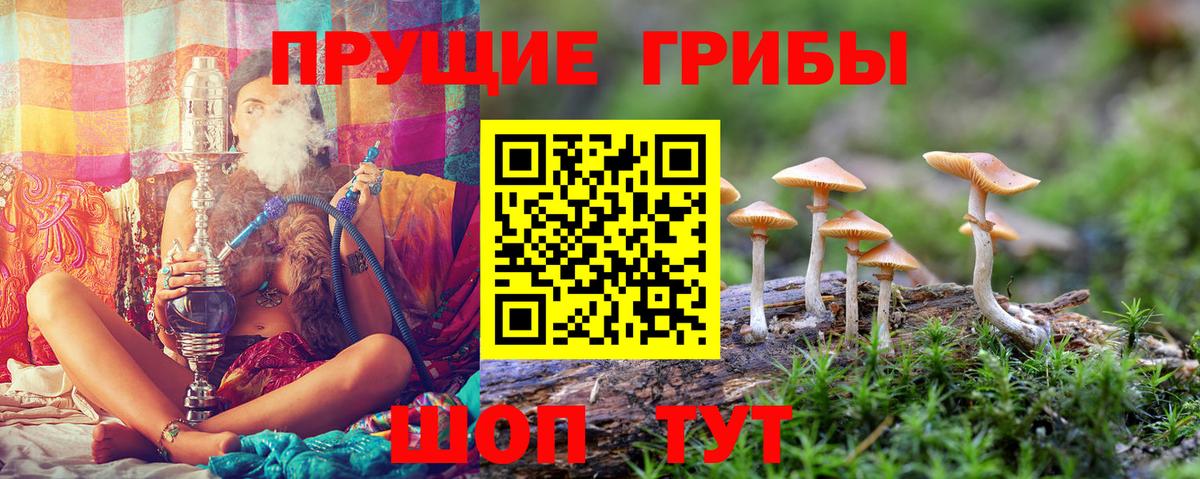Псилоцибиновые грибы Cubensis  Псилоцибиновые грибы MAGIC MUSHROOMS  Вход с VPN  наркотики  Солнечногорск 