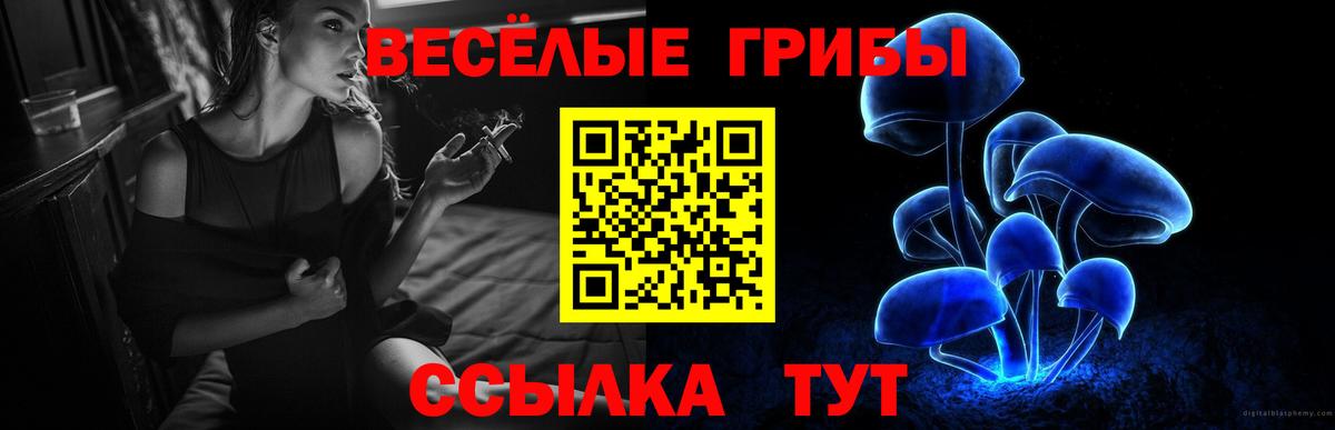 Галлюциногенные грибы Magic Shrooms Солнечногорск