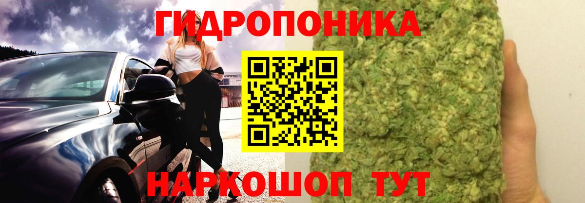 Марихуана Bruce Banner Солнечногорск